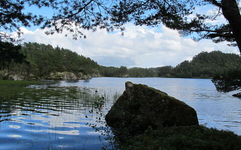 Hauken: Vandressourcer, Vand, Krop Af Vand, Natur, Naturligt Miljø, Naturlige Landskab, Vandløb, Sommer, Rots, Ødemark