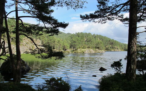 Hauken: Vandressourcer, Vand, Krop Af Vand, Træ, Natur, Naturligt Miljø, Grøn, Naturlige Landskab, Vegetationen, Vandløb