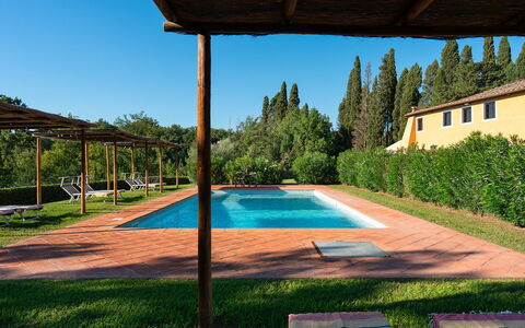 Villa Poggio Bellavista 8: Svømmepøl, Skygge, Hacienda, Have, Eco Hotel, Estate, Stuehus, Landscaping, Backyard, Udvej