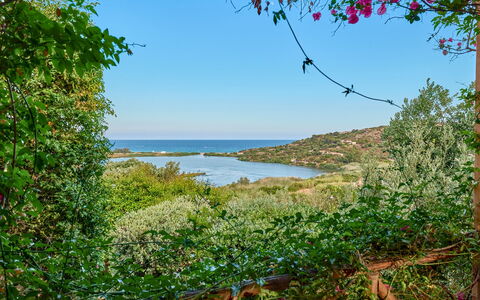 Villa Ananda 8: Blå, Vand, Grøn, Vegetationen, Naturlige Landskab, Busk, Plantesamfund, Kyst, Naturreservat, Sø