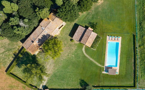 Villa del Poggio D'Oro 8: Svømmepøl, Hus, Land Lot, Hjem, Lawn, Estate, Stuehus, Sommerhus, Eng, Backyard