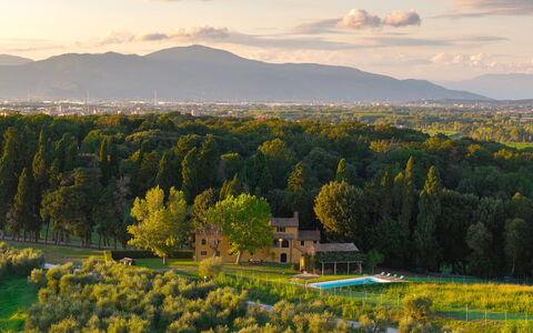 Villa del Poggio D'Oro 8: Træ, Landskab, Land Lot, Landdistrikt, Almindeligt, Hjem, Estate, Eng, Stuehus, Plantation