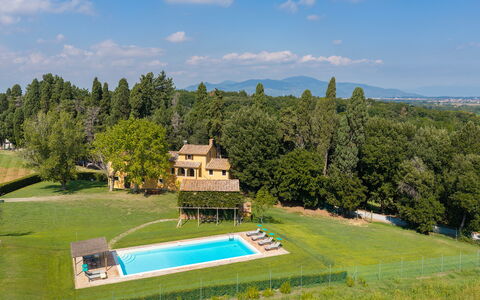 Villa del Poggio D'Oro 8: Svømmepøl, Estate, Boligområde, Hus, Hjem, Stuehus, Hacienda, Lawn, Udvej, Villa