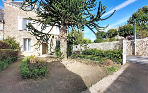 Saint Alexandre: Busk, Have, Landscaping, Botanisk Have, Gårdsplads, Walkway