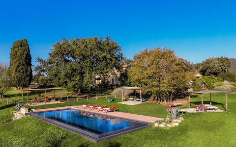 Villa Monte, Bolgheri: Træ, Svømmepøl, Landskab, Have, Fritid, Lawn, Landscaping, Parkere, Estate, Udvej