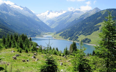 Zell am Ziller 737: Blå, Træ, Møbel, Hjem, Udendørs Møbler, Stol, Skygge, Altan, Bejdse, Eco Hotel