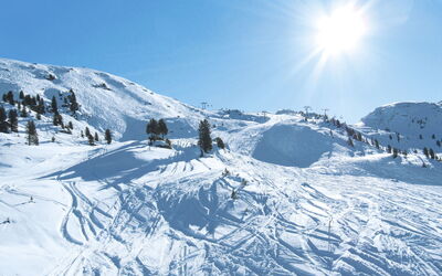 Zell am Ziller 737