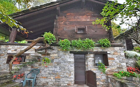 Chalet degli Gnomi: Træ, Sne, Vinter, Skov, Fryser, Lærk, Evergreen, Woodland