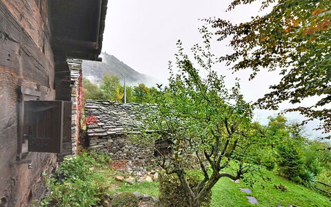 Chalet degli Gnomi: Træ, Sne, Vinter, Skov, Fryser, Lærk, Evergreen, Woodland