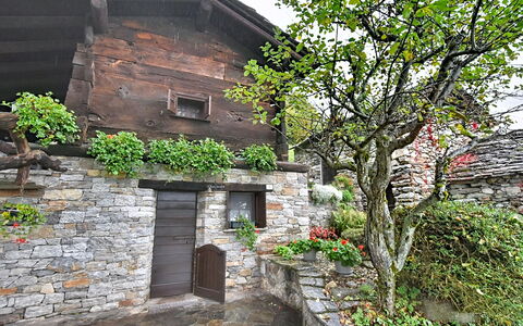 Chalet degli Gnomi: Træ, Sne, Vinter, Skov, Fryser, Lærk, Evergreen, Woodland
