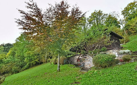 Chalet degli Gnomi: Træ, Sne, Vinter, Skov, Fryser, Lærk, Evergreen, Woodland