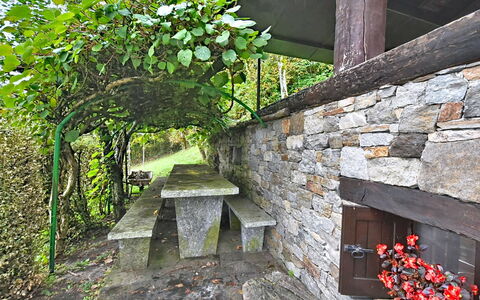 Chalet degli Gnomi: Træ, Sne, Vinter, Skov, Fryser, Lærk, Evergreen, Woodland