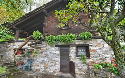 Chalet degli Gnomi: Træ, Sne, Vinter, Skov, Fryser, Lærk, Evergreen, Woodland