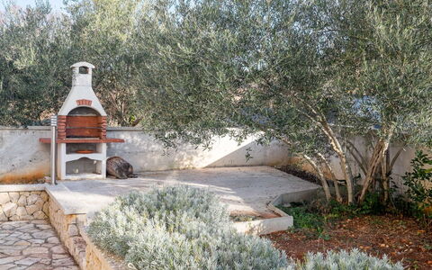 Ivana: Busk, Have, Vedplante, Landscaping, Backyard, Gård, Indkørsel, Flise, Walkway