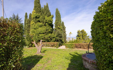 La Casa di Famiglia: Svømmepøl, Udvej, Hotel, Skygge, Villa, Altan, Eco Hotel, Ferieby, Luftfotografering