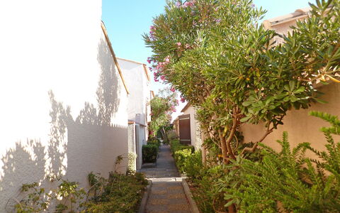 Les Leucatines 3: Træ, Ejendom, Vegetationen, Ejendom, Hus, Kvarter, Plante, Arkitektur, Botanik, Vedplante