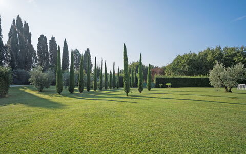 Villa Fontine: Træ, Grøn, Græs, Naturlige Landskab, Land Lot, Sport Venue, Græs-, Himmel, Biome, Have