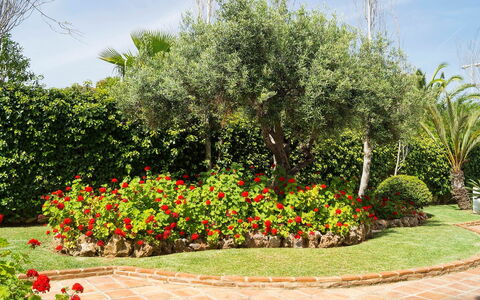 Mijas Beach: Have, Blomst, Træ, Plante, Busk, Botanisk Have, Botanik, Forår, Vedplante, Landskab