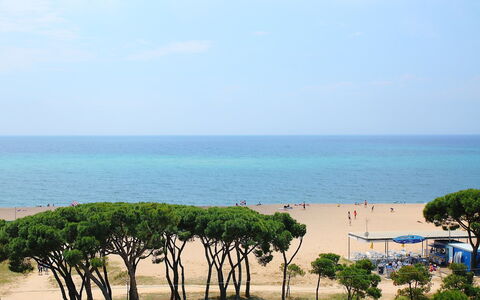 Paisos Catalans: Hav, Strand, Træ, Himmel, Kyst, Kyst, Horisont, Ocean, Ferie, Turisme