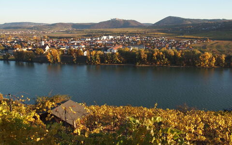 Haus Fries: Vand, Himmel, Vandressourcer, Bjerg, Økoregion, Plante, Naturlige Landskab, Blad, Gul, Vegetationen