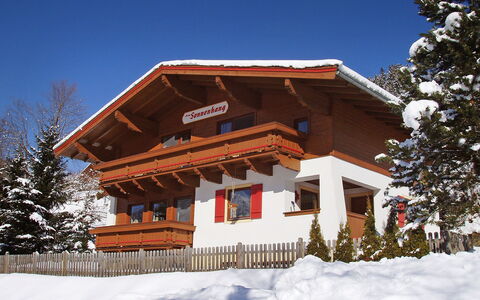 Haus am Sonnenhang: Himmel, Sne, Træ, Træ, Hældning, Lærk, Sommerhus, Fryser, Facade, Plante