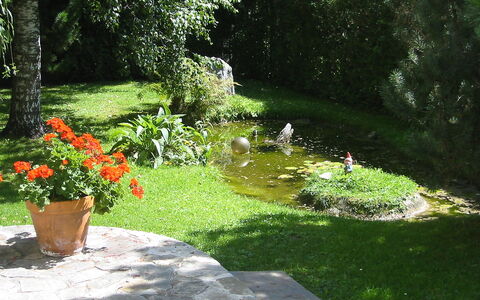Pettneu am Arlberg 250: Have, Lawn, Naturlige Landskab, Græs, Gård, Botanik, Landscaping, Landskab, Botanisk Have, Busk