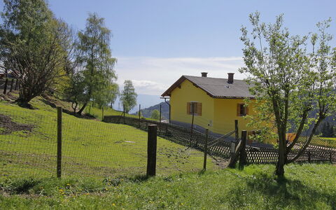 Schönhart