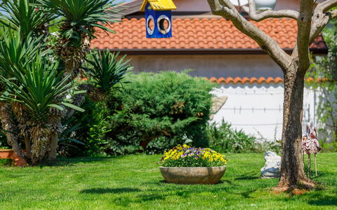 Umag Finida 140: Himmel, Plante, Bygning, Daytime, Ejendom, Vindue, Træ, Arkitektur, Urban Design, Fritid