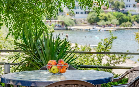 Novigrad (Zadar) 100: Bord, Vand, Møbel, Plante, Blomst, Natur, Stol, Udendørs Møbler, Træ, Udendørs Bord