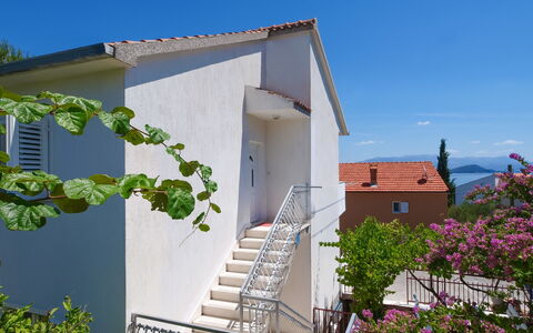 Trogir Slatine 165: Plante, Himmel, Ejendom, Bygning, Blomst, Trappe, Hus, Sommerhus, Træ, Boligområde