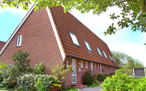 Müter: Plante, Himmel, Ejendom, Vindue, Bygning, Sky, Træ, Arkitektur, Hus, Land Lot