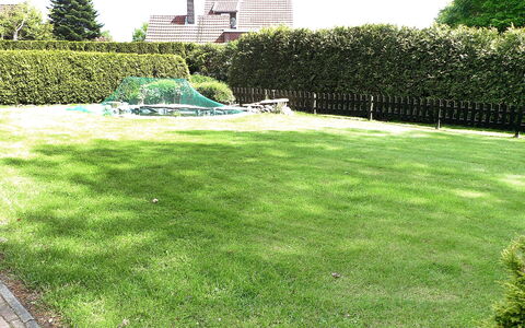 Bentweg: Lawn, Græs, Gård, Have, Ejendom, Land Lot, Græsfamilien, Busk, Plante, Backyard