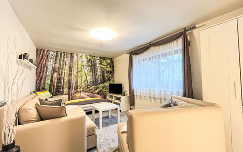 Hartmann im Odenwald: Møbel, Indretning, Couch, Gulvbelægning, Etage, Værelse, Stue, Loft, Television, Hjem