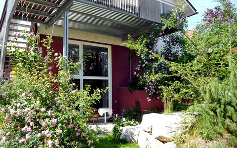 Rosengarten: Blomst, Plante, Bygning, Vindue, Botanik, Hus, Land Lot, Himmel, Græs, Skygge
