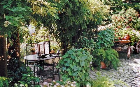 Haus Schwärzel: Plante, Blad, Vegetationen, Græs, Vedplante, Terrestrisk Plant, Bunddække, Busk, Landskab, Træ