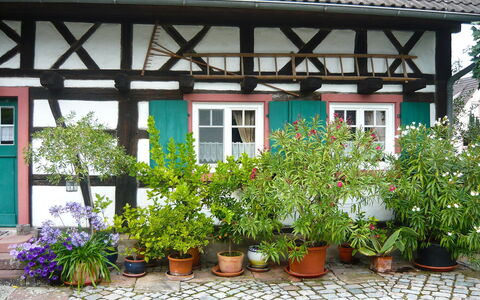Haus Schwärzel: Blomst, Plante, Ejendom, Vindue, Blomsterkrukke, Stueplante, Bygning, Hus, Busk, Ejendom
