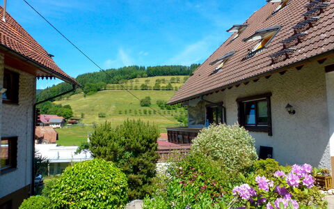 Pension Himmelsbach: Himmel, Plante, Bygning, Blomst, Ejendom, Vindue, Grøn, Blå, Azure, Hus