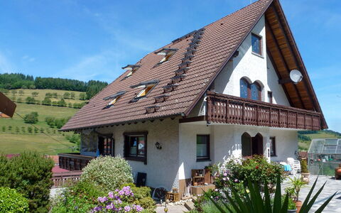 Pension Himmelsbach: Plante, Himmel, Blomst, Ejendom, Vindue, Bygning, Sky, Arkitektur, Hus, Træ