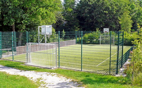 Siegsdorf 100: Plante, Ejendom, Træ, Hegn, Land Lot, Græs, Home Fencing, Busk, Rektangel, Mesh