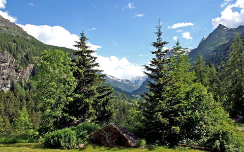 Chez les Roset: Bjergrige Landskabsformer, Bjerg, Naturlige Landskab, Highland, Natur, Ødemark, Træ, Bjergkæde, Tropisk Og Subtropisk Nåleskov, Hill Station