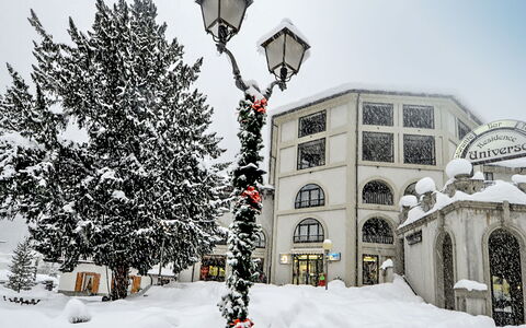 Courmayeur 100: Himmel, Bjerg, Plante, Plantesamfund, Træ, Naturligt Miljø, Lærk, Naturlige Landskab, Highland, Hældning