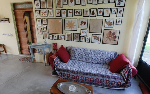 Busani: Værelse, Møbel, Couch, Stue, Ejendom, Indretning, Hus, Væg, Studio Couch, Bygning
