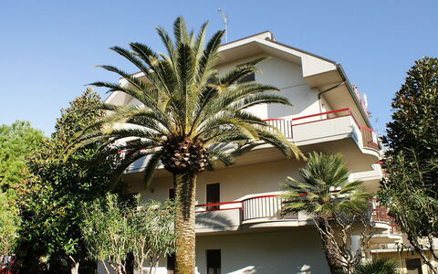 Magnolia: Træ, Ejendom, Palme Træ, Hus, Bygning, Hjem, Arkitektur, Boligområde, Arecales, Ejendom