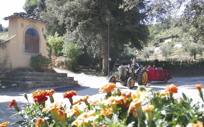 Feriebolig:&nbsp;Fattoria Di Castiglionchio 100.1
