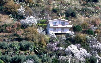 Santa Maria Di Ricadi 10: Plante, Plantesamfund, Vindue, Natur, Botanik, Bygning, Naturlige Landskab, Afdeling, Vegetationen, Hus