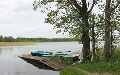 Letniskowa 29: Naturlige Landskab, Vand, Natur, Træ, Bank, Flod, Naturligt Miljø, Naturreservat, Sø, Vandvej