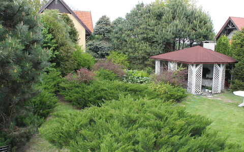 Letniskowa 29: Ejendom, Vegetationen, Hus, Naturlige Landskab, Træ, Land Lot, Busk, Have, Sommerhus, Hjem