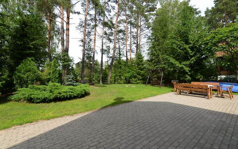 Dom Pod Sosnami: Træ, Ejendom, Græs, Walkway, Vejbelægning, Have, Botanik, Botanisk Have, Ejendom, Plante