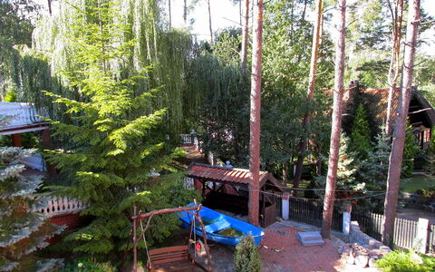 Mielno 2: Træ, Biome, Plante, Vedplante, Botanik, Skov, Pine Family, Hjem