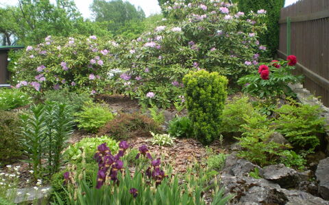 Jesenný: Blomst, Blomstrende Plante, Have, Plante, Vegetationen, Gård, Busk, Botanik, Græsfamilien, Landscaping